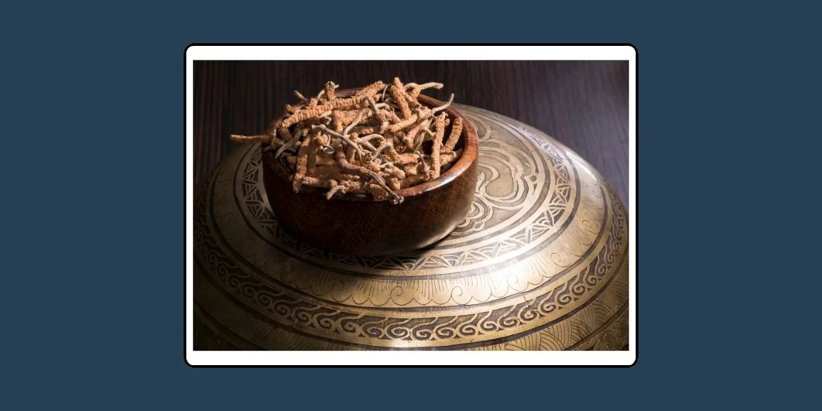 คำวินิจฉัย (ฟัตวา) จุฬาราชมนตรี ที่ 09/2558 เรื่อง ผลิตภัณฑ์ที่มีส่วนผสมของถังเช่า หรือถั่งเฉ้า