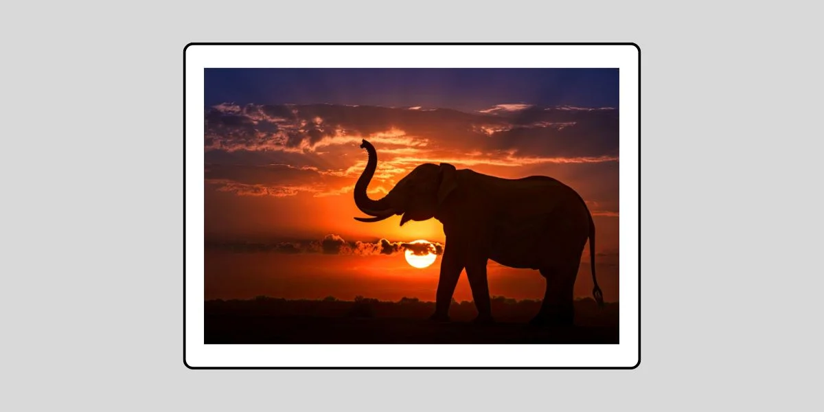 คำวินิจฉัย (ฟัตวา) จุฬาราชมนตรี ที่ 04/2556 เรื่อง กำแฟขี้ช้าง