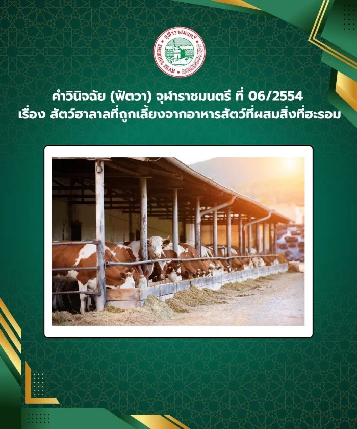 Ruling (Fatwa) Chularatchamontri No. 06/2011 regarding Halal animals raised from animal feed mixed with Haram things.