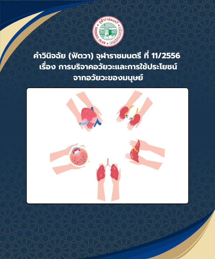 Judgment (Fatwa) Chularatchamontri No. 11/2013 regarding organ donation and use of human organs