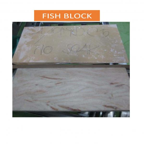 FISH  BLOCK