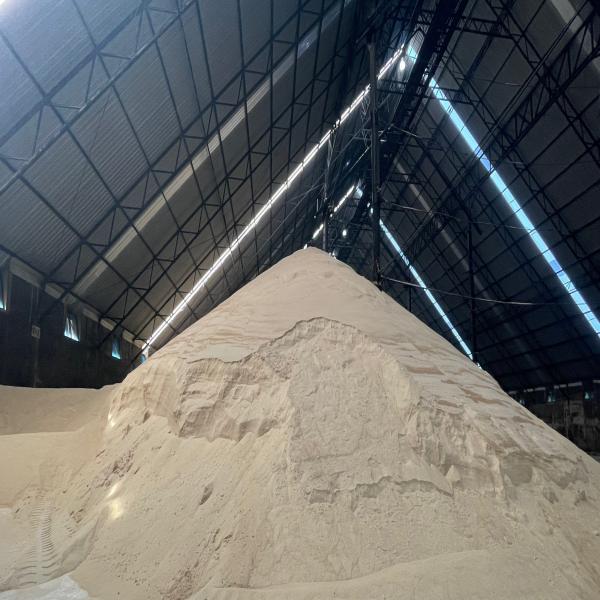 RAW SUGAR