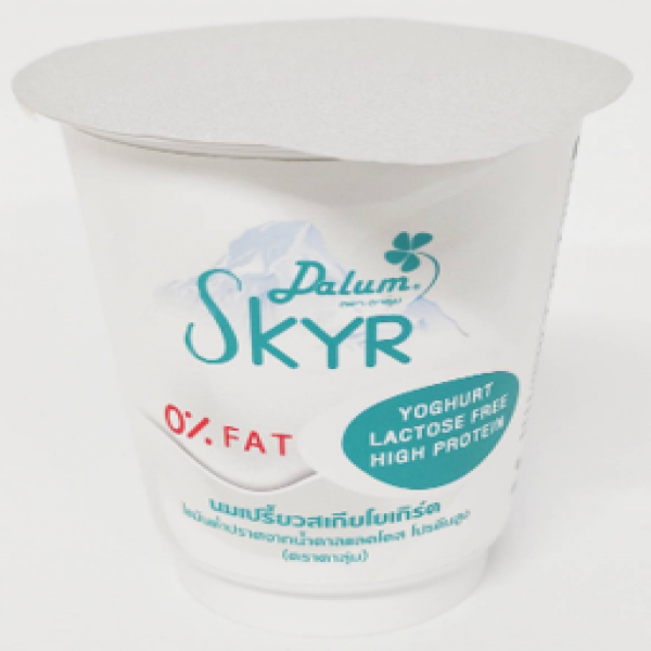 Skyr Fermented Milk Yoghurt Low Fat  Lactose Free Hight Protein