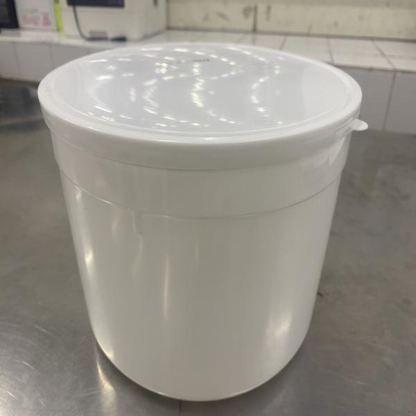 Coconut Cream Ice Cream