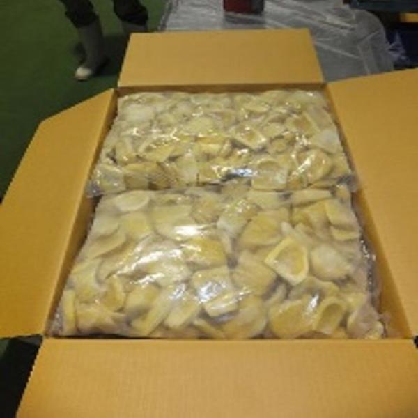 ขนุนแช่แข็ง (ถุง bulk)