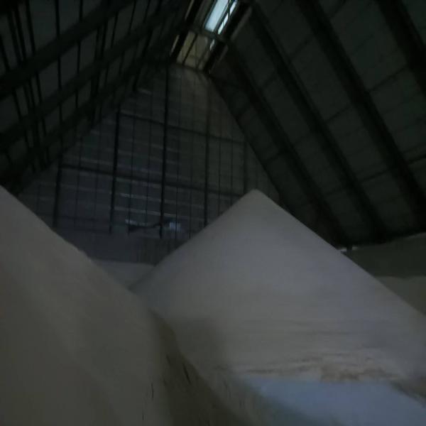 RAW SUGAR