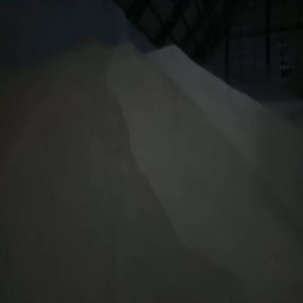 HI-POL SUGAR