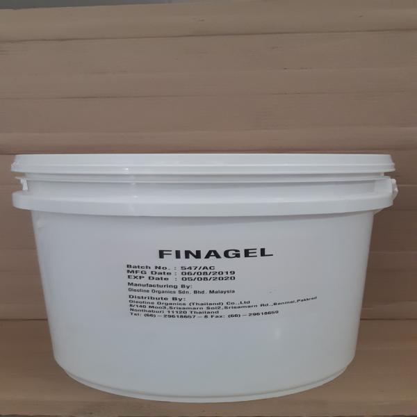 FINAGEL