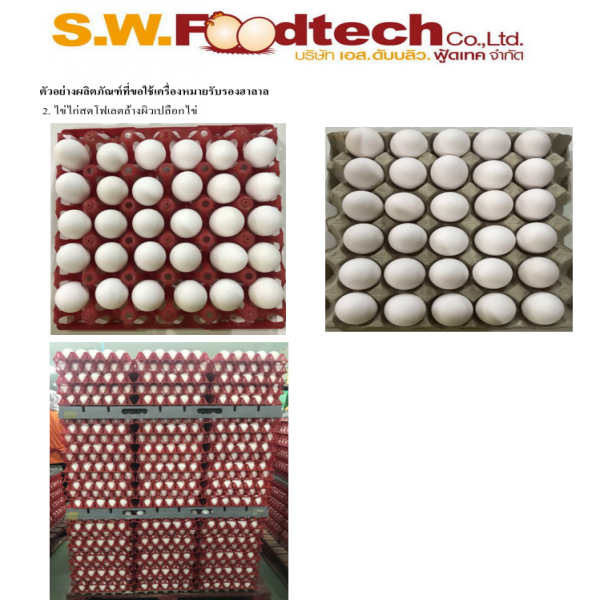 Washed Fresh Folate Egg