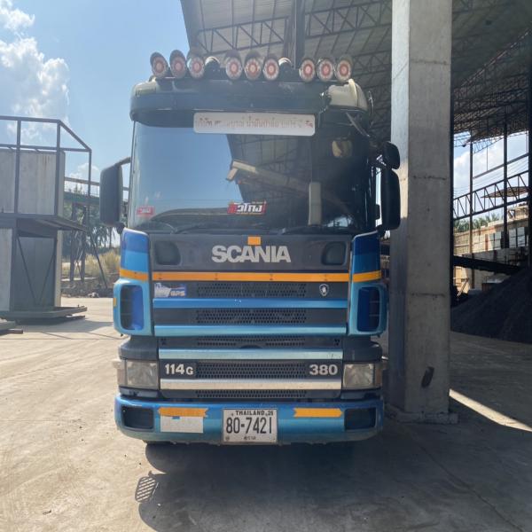 Palm kernel
