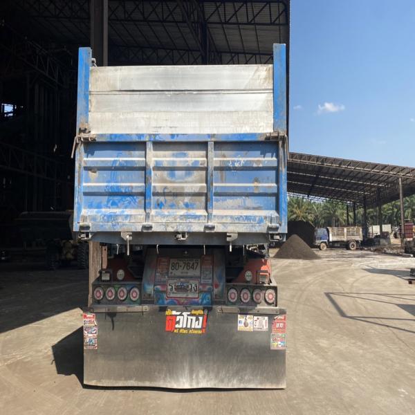 Palm kernel