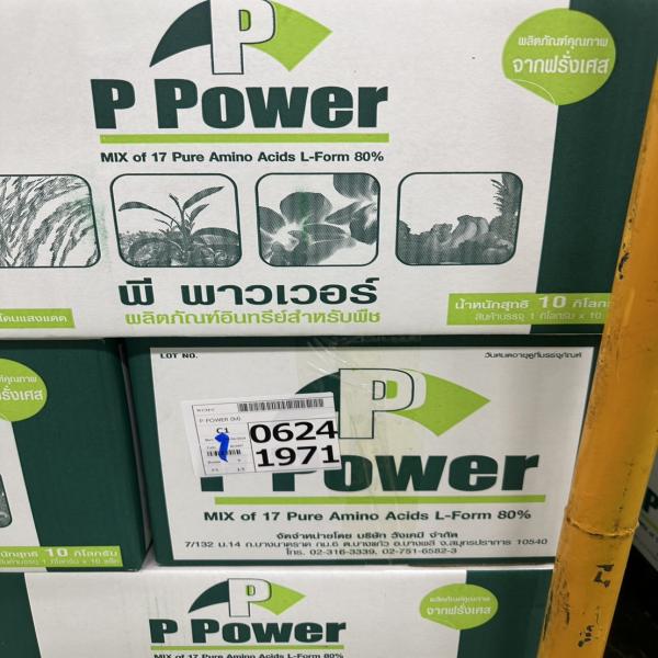 P Power / France