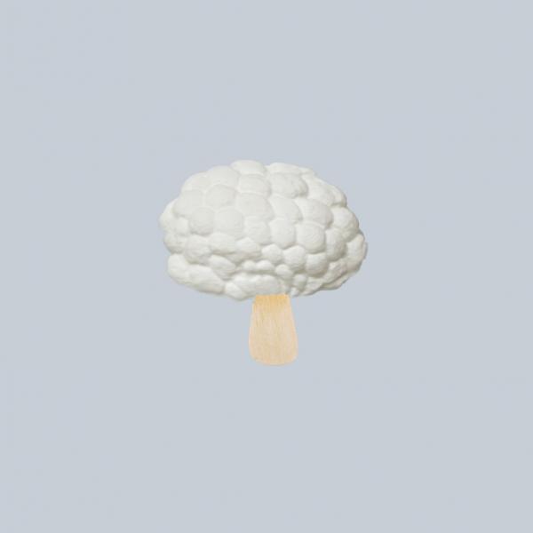 น้อยหน่าแช่เยือกแข็ง