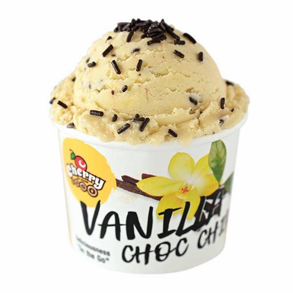 To Go Vanilla Flavoured Ice Cream with Chocolate Chips