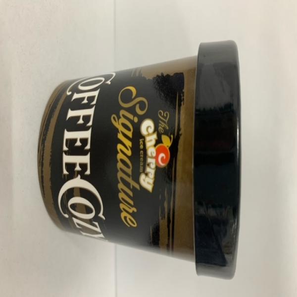 SINGNATURE  Coffee Flavoured Dairy Ice Cream