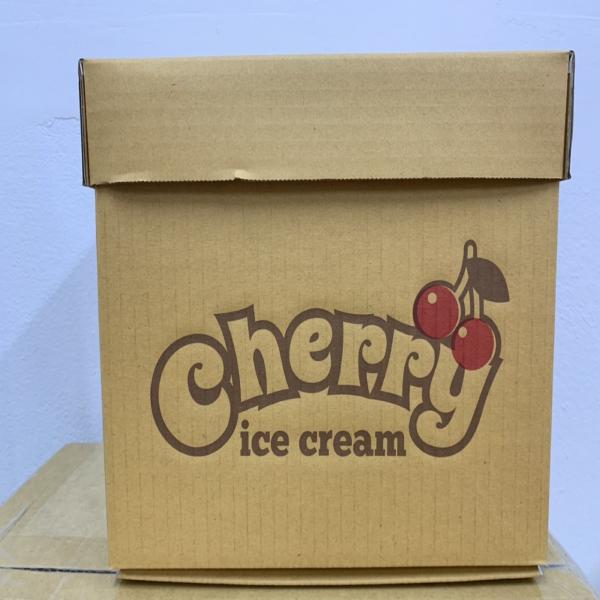 Vanilla Flavoured and Chocolate Flavoured Ice Cream