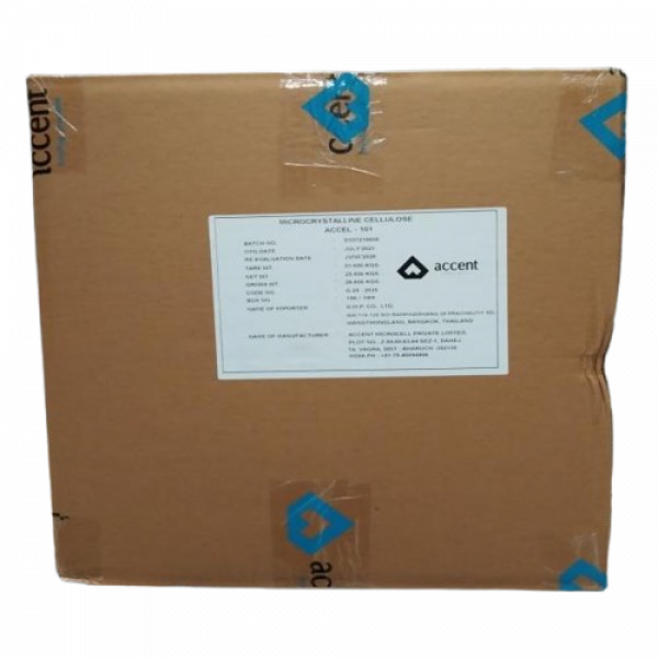 ACCEL 101/ ACCENT MICROCELL LTD/ INDIA