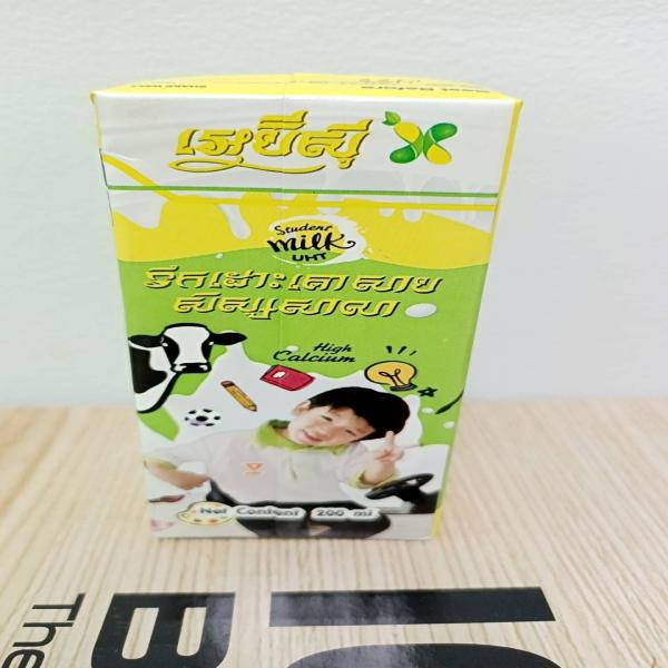 School milk plain type