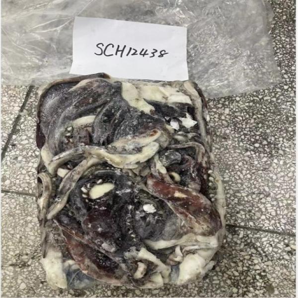 Frozen Raw Giant Squid Tentacles