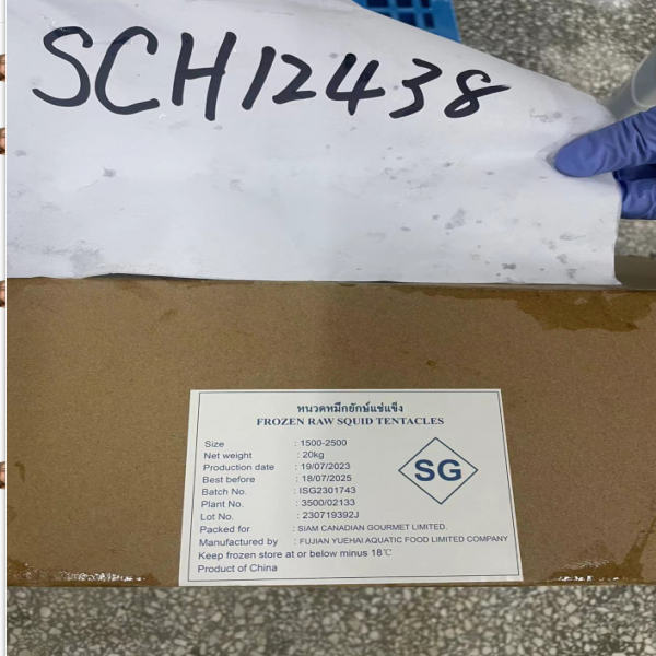 Frozen Raw Giant Squid Tentacles