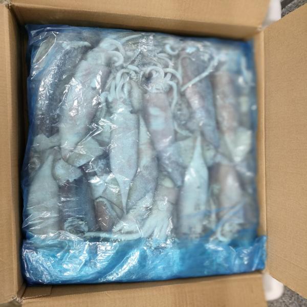 ปลาหมึกกล้วยทั้งตัวแช่แข็ง