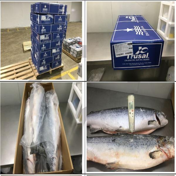 ปลาแซลมอนแอนแลนติก