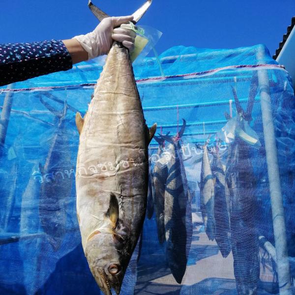 dried salted king mackerel