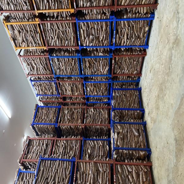 Ripe Tamarind with seed