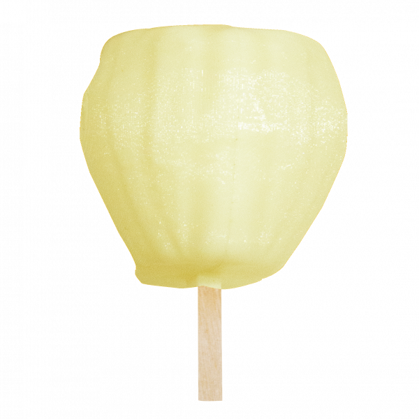 ขนุนแช่เยือกแข็ง