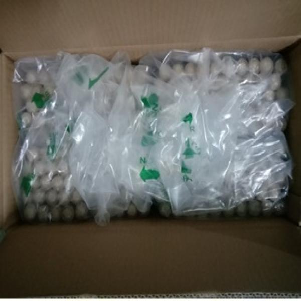 Cellulose casing / CHINA