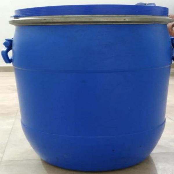 Bacopa Extract