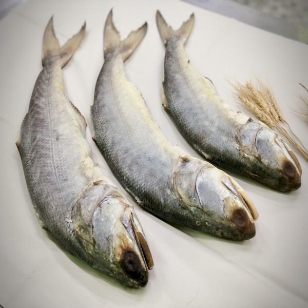 Salted Fish Kulao