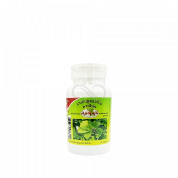 GINKBO BILOBA CAPSULE