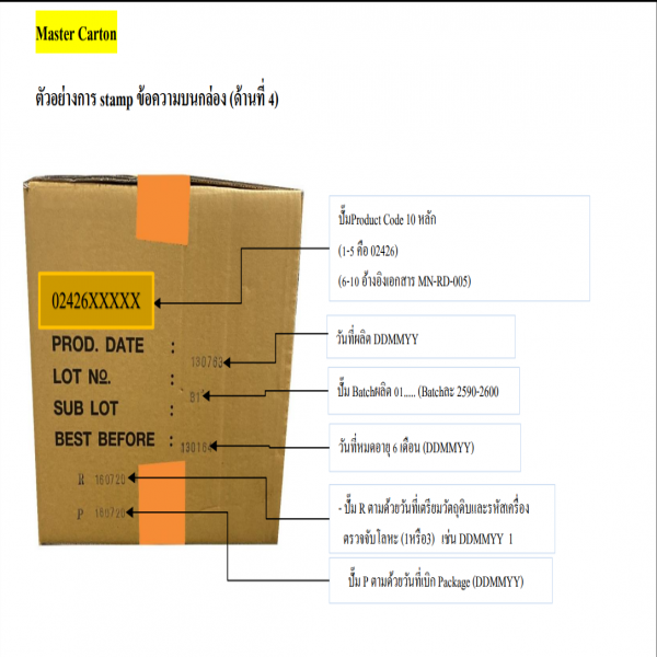 ข้าวกะเพราปลาหมึก