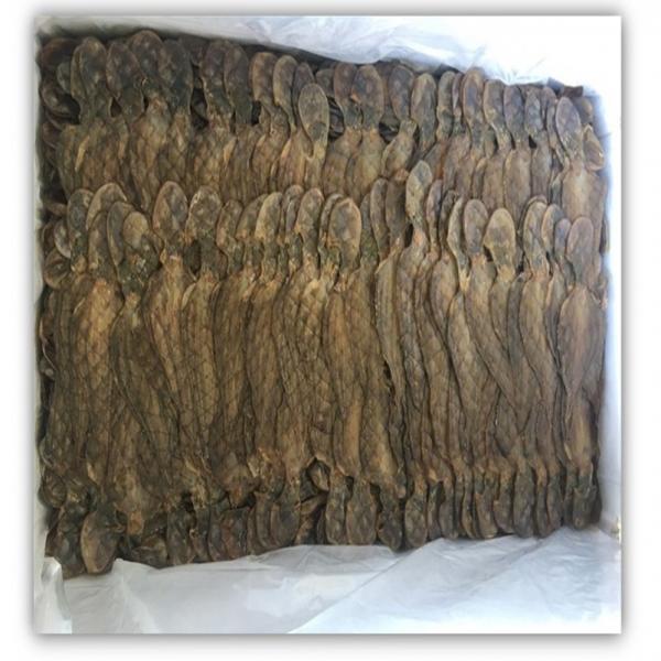 Dried Seasoned Baby Octopus