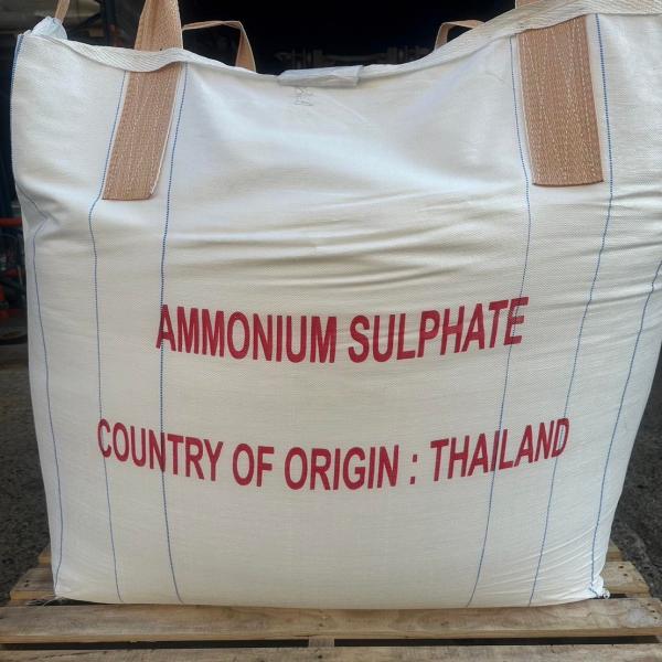 แอมโมเนียมซัลเฟตสีขาวชนิดผง