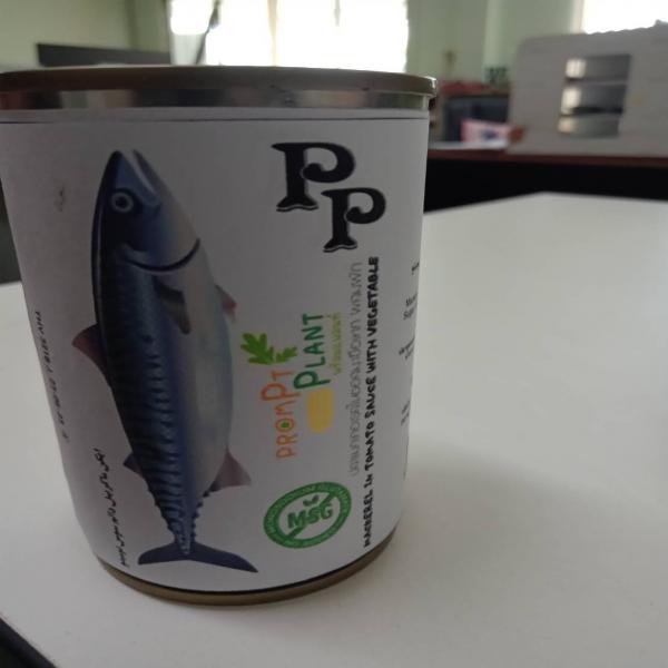 MACKEREL IN TOMATO SAUCE WITH VEGETABLE