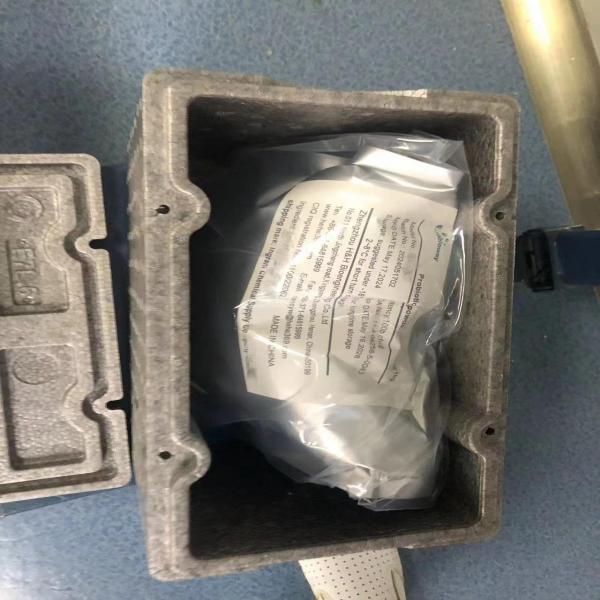 บาซิลลัส โคแอกกูแลน