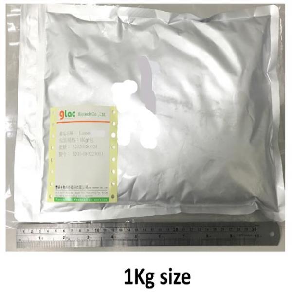 Bifidobacterium Longum