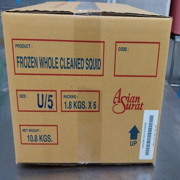 FROZEN SQUID
