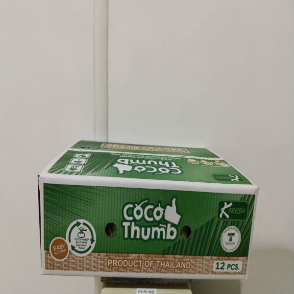 FRESH AROMATIC COCONUT EASY TO DRINK COCO THUMB BRAND