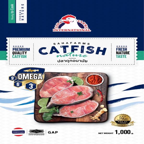 Hygienic catfish (Sliced catfish)