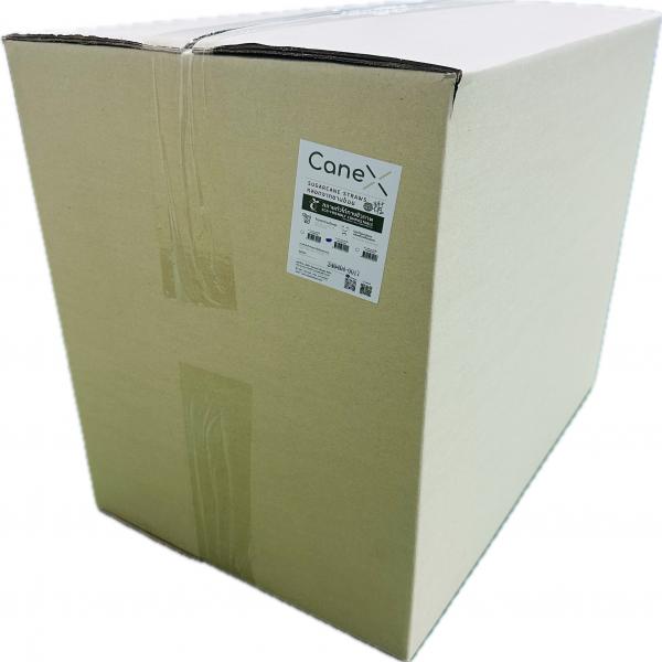 Sugarcane Straws size 6x210 mm Flat cut