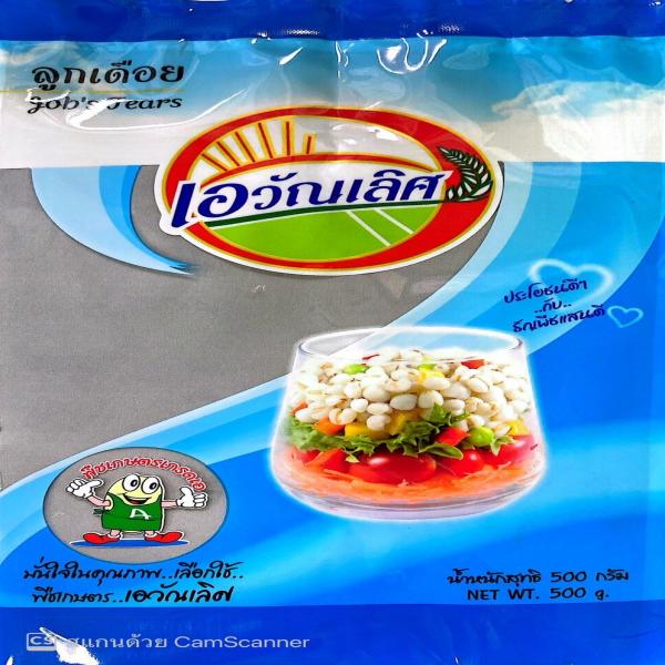 เม็ดเดือย