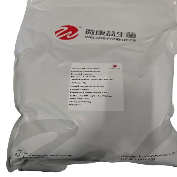 LACTOBACILLUS CASEI
