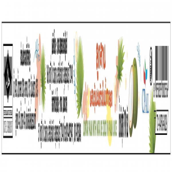 NATA DE COCO WITH LONTAR PALM IN PALM JUICE