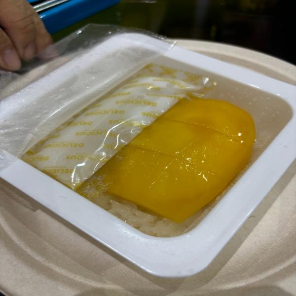 Frozen Mango Sticky Rice with Coconut Milk
