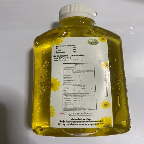 CHRYSANTHEMUM DRINK