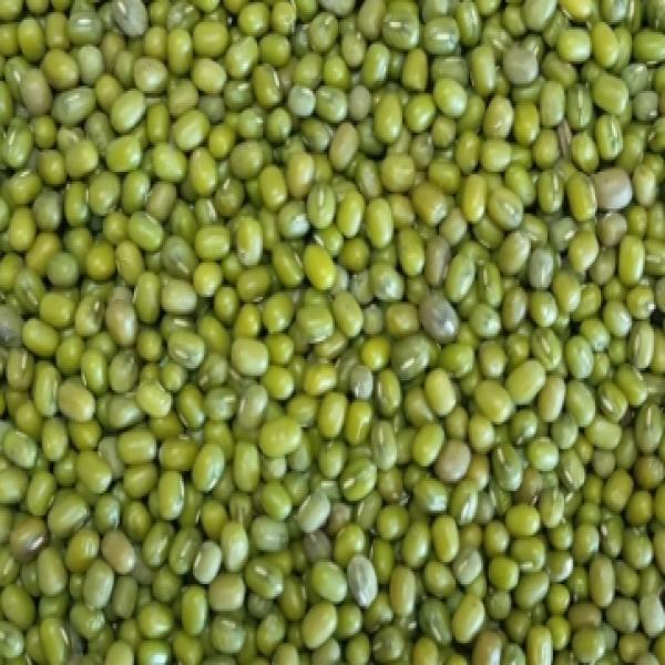 Green beans