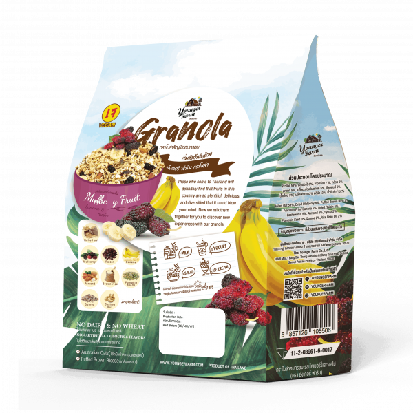 Granola Mulberry and Fruit Flavor